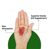 8 - Vlado's Himalayan Organics Methylcobalamin Vitamin B12 500mcg,  60 tablet(s)  Unflavoured 