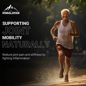 7 - Divya Himalayan Plant Based Organics Vegan Omega 3-6-9,  60 tablet(s) 