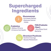 2 - Dr. Morepen LightLife Pre-Meal Nutrition,  10 sachets/pack  Litchi (Pack of 3) 