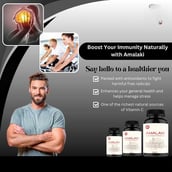 4 - Vitaminhaat Amalaki Amla Natural Vitamin C,  90 capsules 