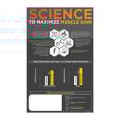 2 - MuscleBlaze Biozyme Whey PR,  8.8 lb  Chocolate Fudge