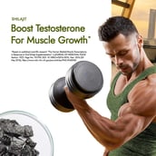 3 - Kapiva Him Foods Testofuel Shilajit Whey Protein,  2.2 lb  Belgian Chocolate 