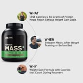 7 - ON (Optimum Nutrition) Serious Mass,  11 lb  Chocolate 