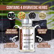 6 - Nirvasa Shilajit+,  120 veggie capsule(s) 