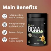 2 - NutraFirst BCAA Proteins,  0.88 lb  40 Servings  Mix Fruit (Pack of 3) 