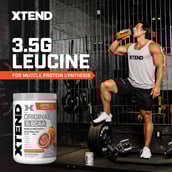 9 - Scivation Original BCAA, 0.94 lb 30 Servings Italian Blood Orange