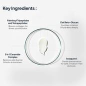 5 - Miduty EpiRepair Night Cream,  50 g  for Anti-Aging & Barrier Repair 