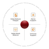 3 - AS-IT-IS Nutrition ATOM Iron & Folic Acid with Zinc Vitamin C & B12,  60 tablet(s) 