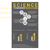 1 - MuscleBlaze Biozyme Performance Whey,  2.2 lb  French Vanilla Creme