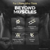 4 - Nutrabay Gold Pea Protein,  2.2 lb  Rich Chocolate Creme 