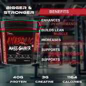3 - Muscle Performance Anabolic Mass Gainer,  11 lb  Irish Chocolate with Steel Shaker 