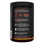 2 - Rule One Essential Amino9,  0.76 lb  30 Servings  Peach Mango 