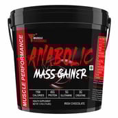 1 - Muscle Performance Anabolic Mass Gainer,  11 lb  Irish Chocolate 