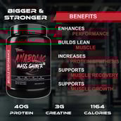 5 - Muscle Performance Anabolic Mass Gainer,  2.2 lb  Irish Chocolate 