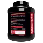 2 - Muscle Performance Anabolic Mass Gainer,  5.5 lb  Irish Chocolate 