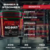 5 - Muscle Performance Anabolic Mass Gainer,  11 lb  Irish Chocolate 