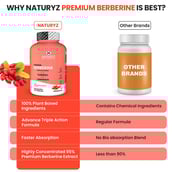 6 - Naturyz Premium Berberine + Cinnamon + Turmeric,  60 capsules 