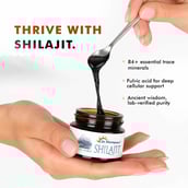 3 - Dr. Morepen Shilajit Resin Form,  15 g 