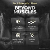 5 - Nutrabay Gold Pea Protein, 1.1 lb Rich Chocolate Creme