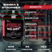 6 - Muscle Performance Anabolic Mass Gainer with Creatine Monohydrate 0.66 lbs & Steel Shaker Combo,  5.5 lb  Belgium Chocolate 