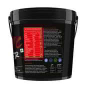 4 - Muscle Performance Anabolic Mass Gainer with Creatine Monohydrate 0.66 lbs, Steel Shaker & Gym Bag Combo, 11 lb Creamy Vanilla