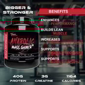 6 - Muscle Performance Anabolic Mass Gainer with Creatine Monohydrate 0.66 lbs, Steel Shaker & Gym Bag Combo,  5.5 lb  Belgium Chocolate 
