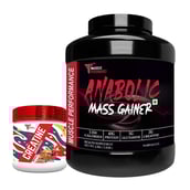 1 - Muscle Performance Anabolic Mass Gainer with Creatine Monohydrate 0.66 lbs Combo, 5.5 lb Rabri Kulfi