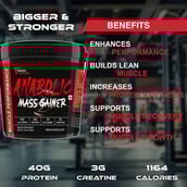 5 - Muscle Performance Anabolic Mass Gainer with Creatine Monohydrate 0.66 lbs Combo, 11 lb Irish Chocolate