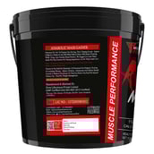 6 - Muscle Performance Anabolic Mass Gainer with Gym Bag Combo,  11 lb  Irish Chocolate 