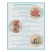 4 - TrueBasics Clean Creatine Monohydrate, Citrus 30 sachets/pack