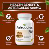 5 - Biotrex Astragalus 500mg,  60 veggie capsule(s) 