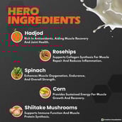 5 - Nutrela Sports Patanjali 100% Whey Performance,  2.2 lb  French Vanilla 