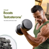 9 - Kapiva Him Foods Testofuel Shilajit Whey Protein, 2 lb Cookies & Cream