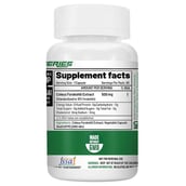 2 - NutriJa Coleus Forskohlii Extract 500mg,  60 capsules  Unflavoured (Pack of 2) 