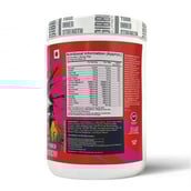 4 - Gibbon Nutrition Svelte Pre-Workout,  1.1 lb  Fruit Punch 