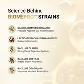 13 - MuscleBlaze Biozyme Gold 100% Whey,  2.2 lb  Chocolate Hazelnut