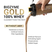 11 - MuscleBlaze Biozyme Gold 100% Whey,  4.4 lb  Chocolate Hazelnut