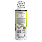 2 - White Wolf L-Carnitine with Vitamin B5, 450 ml Citrus Lemon