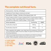 6 - Origins Nutra Sea Buckthorn Oil 500mg (Pack of 3),  28 softgels 