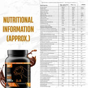2 - BeastLife Anabolic Mass Gainer, 2.2 lb Belgian Chocolate