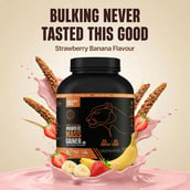 5 - BeastLife Anabolic Mass Gainer, 5.5 lb Strawberry Banana