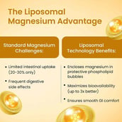 4 - Vlado's Himalayan Organics Liposomal 5X Magnesium Complex 2100mg, Unflavoured 120 veggie capsule(s)