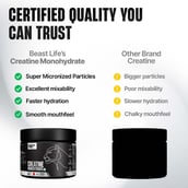 7 - BeastLife Creatine Monohydrate, Litchi 0.27 lb