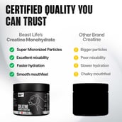 7 - BeastLife Creatine Monohydrate,  Litchi & Neon Shaker 500ml  0.27 lb 