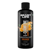 1 - BeastLife L-Carnitine with Vitamin B5 Liquid 1100mg, 450 ml Orange