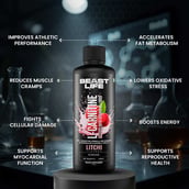 5 - BeastLife L-Carnitine with Vitamin B5 Liquid 3300mg, 450 ml Litchi