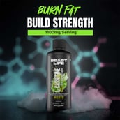 5 - BeastLife L-Carnitine with Vitamin B5 Liquid 1100mg, 450 ml Mojito