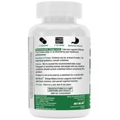 2 - NutriJa Ginkgo Biloba Extract 120mg,  120 capsules 