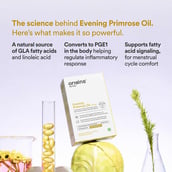2 - Origins Nutra Evening Primrose Oil 500mg (Pack of 2), 28 softgels