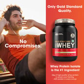 5 - ON (Optimum Nutrition) Gold Standard 100% Whey Protein, 2 lb Unflavoured